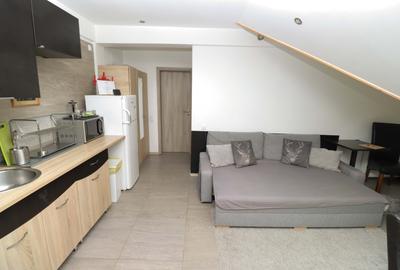 Apartament 2 camere vedere la Bucegi - 4