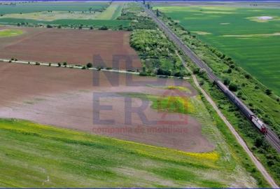 Teren Construcții intravilan de 82757 mp, în Crevedia