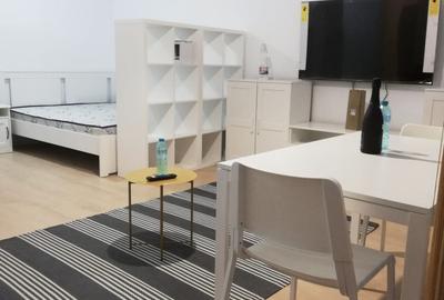 Studio dublu cu gradina Bucurestii Noi | Chitila | Straulesti - 4