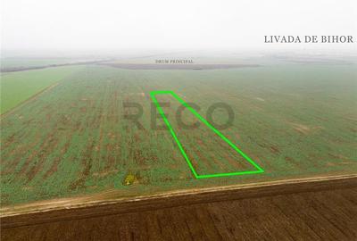 RECO Teren extravilan 5800 mp Livada de Bihor - 3