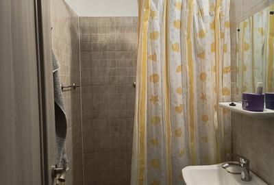Apartament 2 camere in zona Herculane - 5