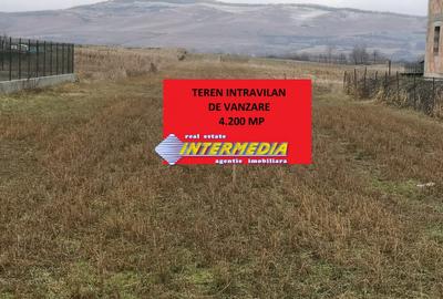 Teren intravilan 4200 mp de vanzare Alba Micesti cu utiliati langa - 2