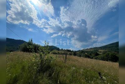 Teren cu potențial turistic, cadru natural rar, 20.000 mp  Sacuieu - 6