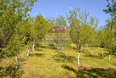 Casă / Vilă de vânzare Picior de Munte, Dambovita - 17