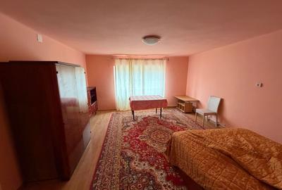 Casa de vanzare 255mp utili, 1974mp teren - Balomir - 4