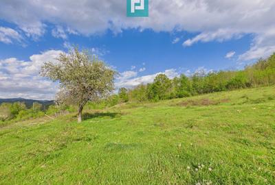 Casă cu teren de 17.681 mp, în loc. Hălmăgel, Arad - 23