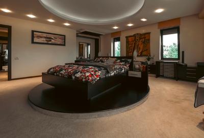 Vila grandioasa, Gradina Japoneza, SPA, Crama, Teren Tenis, Foisor, Iaz Pesti - 7