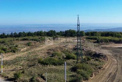 Teren 10.000mp plan, 350m altitudine | Barnova-Paun | POT 35%, CUT 0.9 - 6