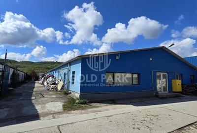 Hala de Vanzare -  Zona Floresti - VID - 1362mp - partial renovata - 13