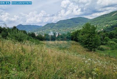Teren de vanzare in Baia Sprie: 52 Ari, Parcelabil, Comision 0% - 1
