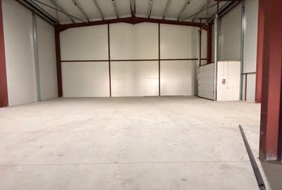 Spațiu industrial, 450 mp în Theodor Pallady