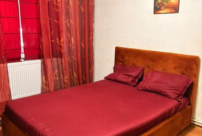 Apartament 2 camere– Lăpușneanu / Satul de Vacanță - 4