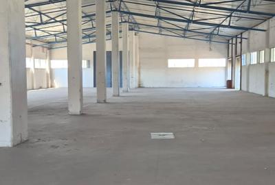 Spațiu Industrial și Logistic - 22