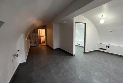Spatiu comercial zona centrala 55mp+curte 30mp - 2