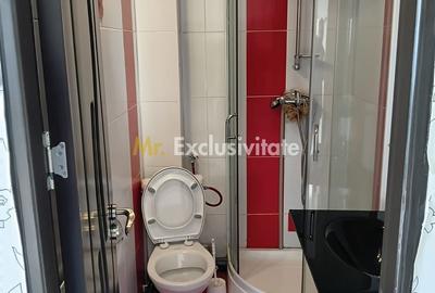 Cabană P+M de vânzare în Rânca - 18