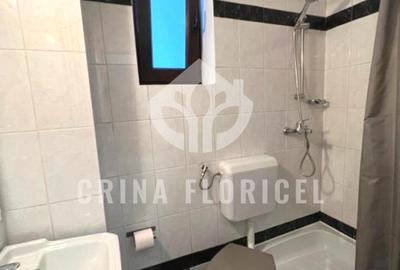 De inchiriat Vilă, 4 camere, 3 dormitoare, Curte /grădină, Herăstrău- Primaverii - 13