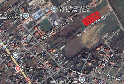 Teren Construcții intravilan de 4000 mp, în Mogoșoaia