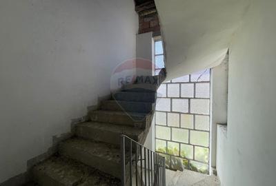 Casa spatioasa in Elisabetin - 7