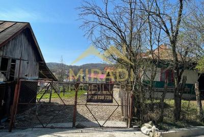 VANZARE CASA  TEREN - 6