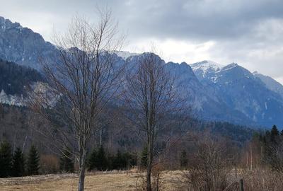 Teren 622 mp  in Sinaia - Zamora, priveliste peisagistică spre Bucegi! - 4