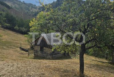 Teren de vanzare 8.300 mp Plesi Loman judetul Alba - 10