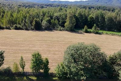 Teren 5000 mp, pretabil cabana de weekend, Sinca Noua - 7