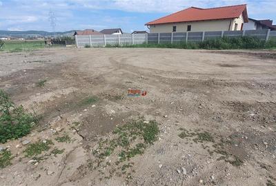 Teren Construcții intravilan de 800 mp, în Ampoi 1