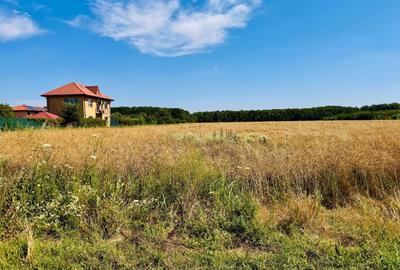 TEREN -INTRAVILLAN-SUPERB-SNAGOV-PADURE-UTILITATI - 9