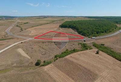 Teren 7.315 mp, Inel Metropolitan, proxim Zoopark Oradea, de vânzare - 4