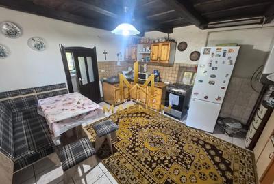 Casă P+M de vânzare | 450 mp teren | Centru Baia Sprie - 8