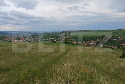 Teren agricol extravilan de 1249 mp, în Copăceni