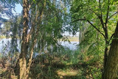 Teren intravilan - ultimul lot de 698mp in Sacel - zona lacuri - 26