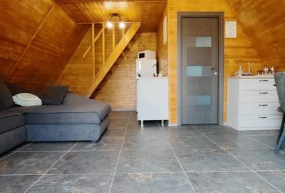 Vilă premium cu afacere la cheie, 6600 mp teren intravilan, Băile Felix, Bihor. - 9