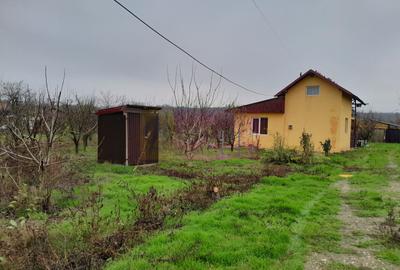 De vanzare casa +teren 16k mp in BARCANESTI / IL - 1