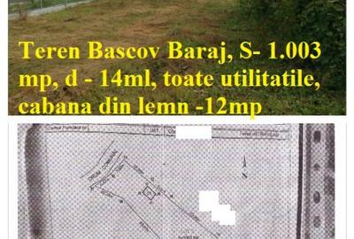 Teren Bascov, diverse suprafete - 8