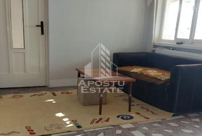Casa Spatioasa cu Teren Generos in Vladimirescu - 13