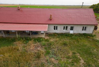 Casă cu teren 13 418 mp intravilan - 15