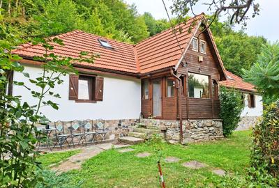 Casă de vacanță de vânzare – Săcărâmb, Munții Metaliferi - 1