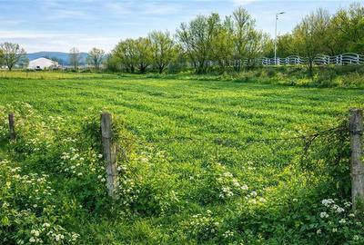 Teren Construcții intravilan de 1450 mp, în Lunca Oltului
