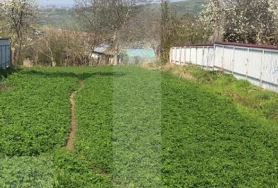 Teren intravilan, 3891 mp, la drum asfaltat, zona Bucecea