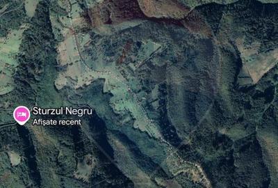 Teren 130000 mp extravilan, faneata si padure, Munteni - Bulz, Negreni - 4