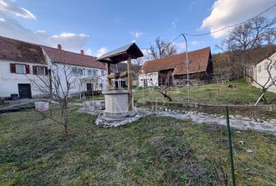 Casa individuala cu teren generos – 8.356 mp – Tichindeal, jud. Sibiu - 16