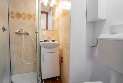 Calea victoriei  apartament 2 camere mobilat si utilat - 23