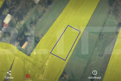 Teren Construcții intravilan de 900 mp, în Păulești