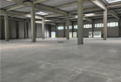 Spatiu Industrial - 1140 mp - Productie - Depozitare - Distributie - E-Commerce - 11