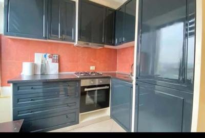 Apartament PENTHOUSE, 3 camere, 2 bai,  etajul 9/10, zona Centru-Palas Mall - 5