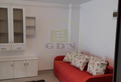 Apartament 2 camere de inchiriat Doamna Stanca - 7