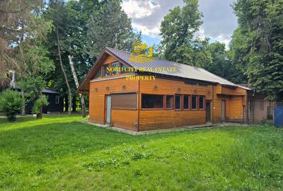 Spatiu comercial Parcul Herastrau-Restaurant Cafeanea-Vanzare-Asociere - 12