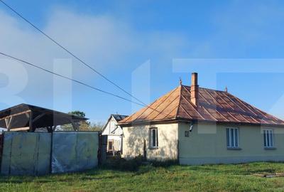 Casă individuală cu 2 camere în Silagiu