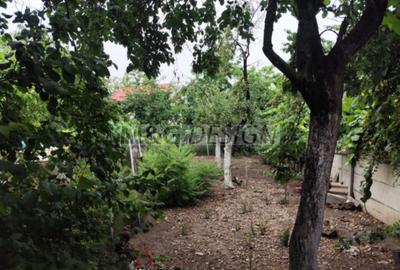 Casa veche zona Bogdanestilor cu teren 1033mp - 3